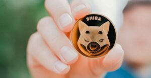 Read more about the article Crypto Payment Service CoinGate has Added Shiba Inu Token