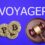 Voyager Creditor Calls For Seizure Of Voyager’s Estate